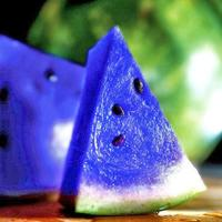 Blue Melon