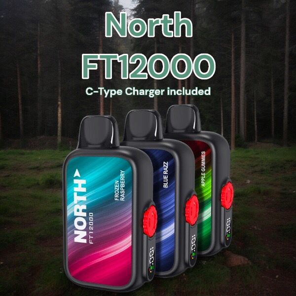 North FT 12k Disposable