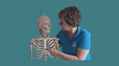 De dans van het borstbeen De dans van het borstbeen