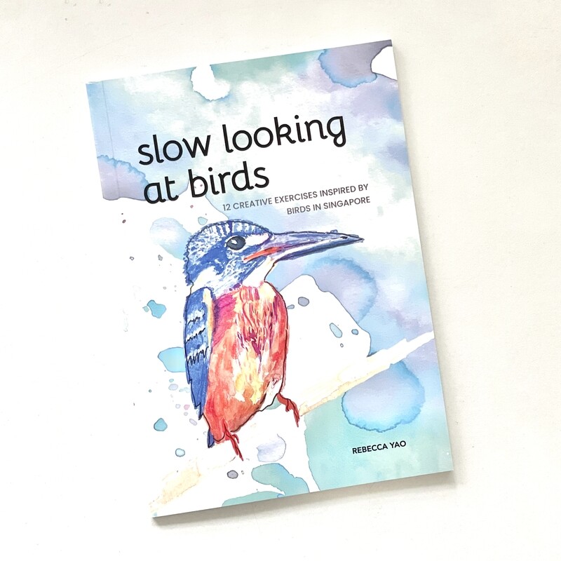 Slow Looking At Birds