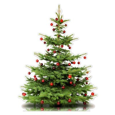 Réservez votre sapin !