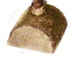 Buche de 50/60 cm