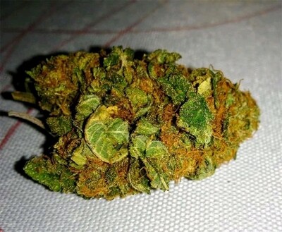 Lemon kush