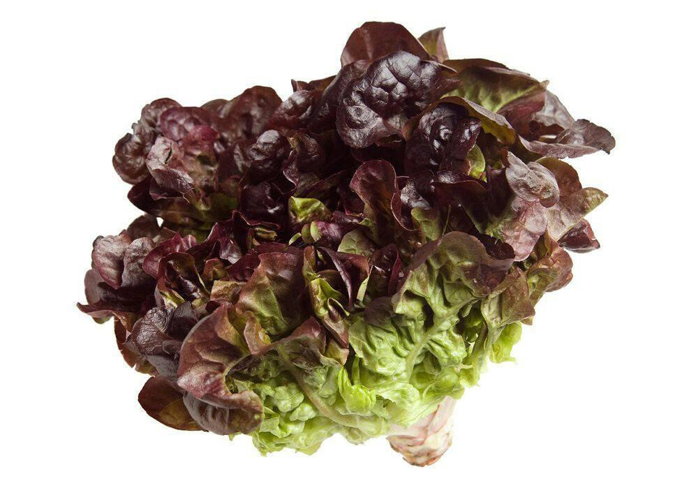 EIKENBLAD SLA krop