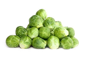 SPRUITJES fijne