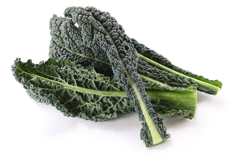 PALMKOOL / CAVOLO NERO