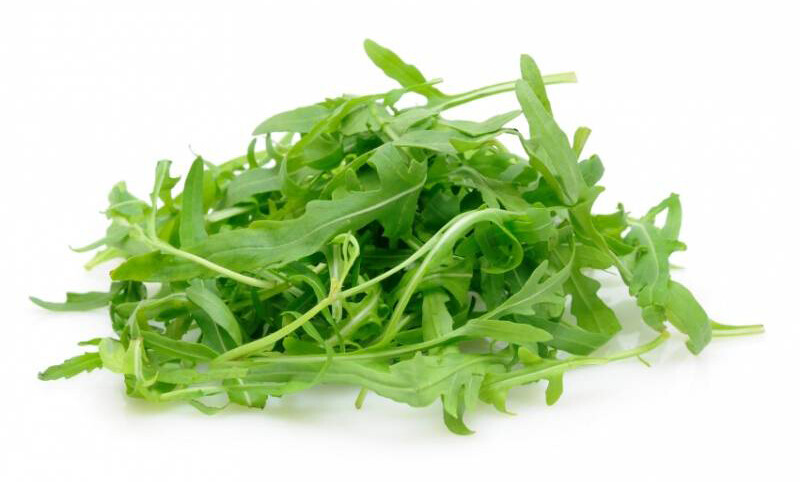 RUCOLA SLA bakje