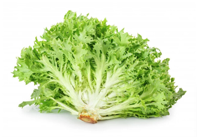 FRISÉE SLA per krop