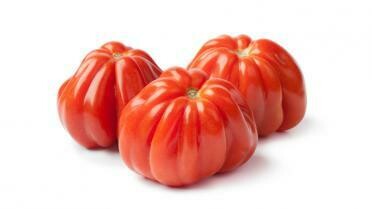 COEUR DE BOEUF  VLEESTOMATEN