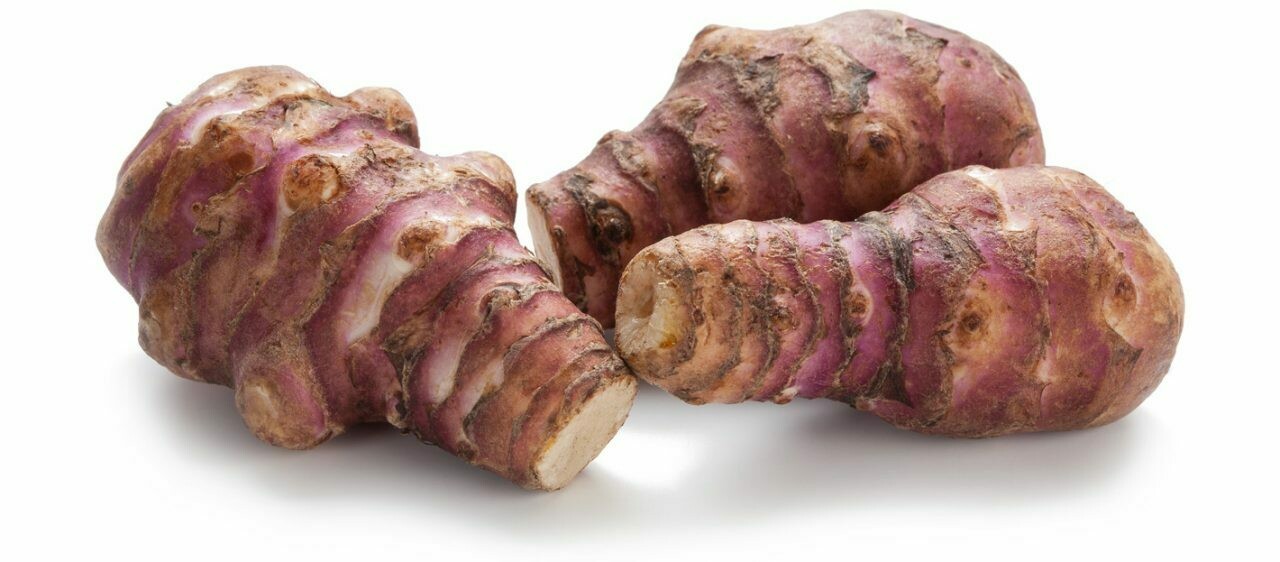 TOPINAMBOER / AARDPEER