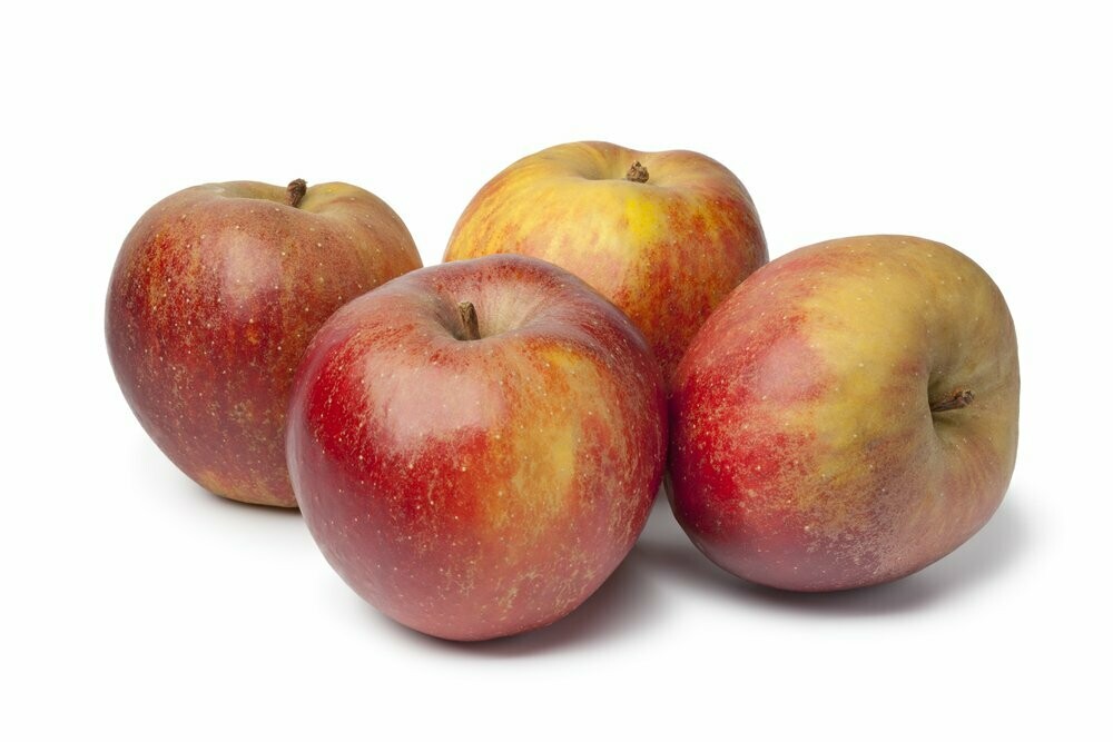 HAND GOUDRENETTEN APPELS per stuk