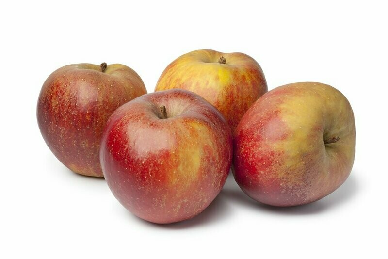 HAND GOUDRENETTEN APPELS per stuk