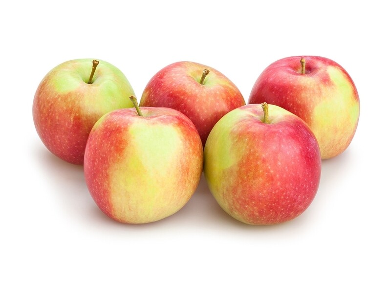 ELSTAR APPELS  per stuk