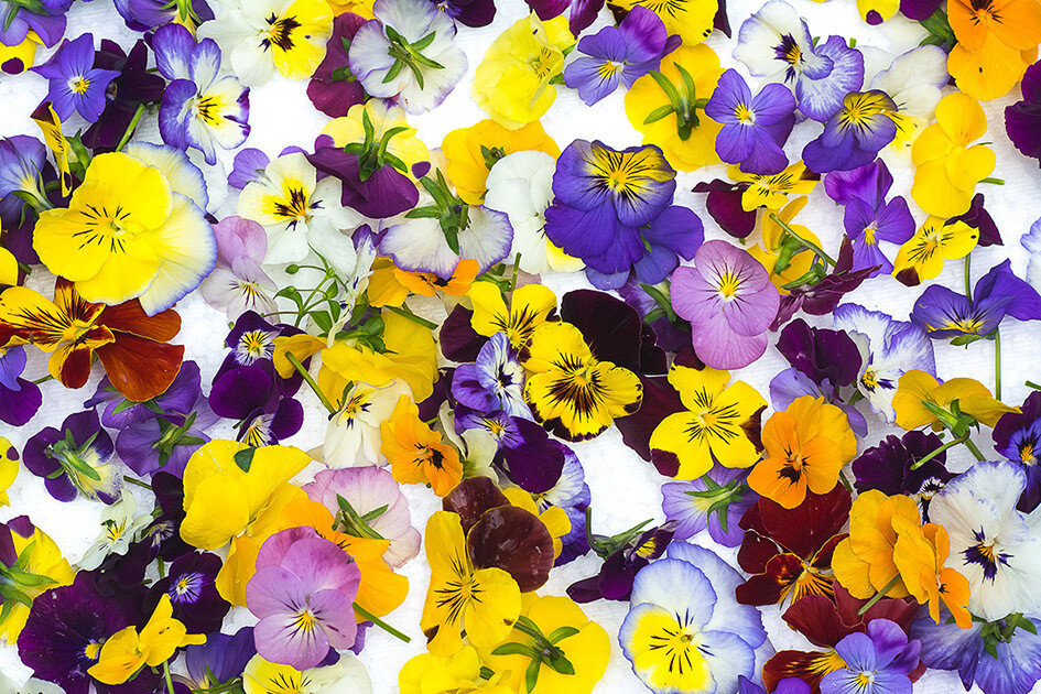 BLOEMEN EETBAAR pakje