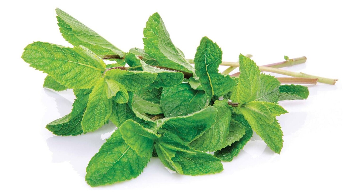 MINT bakje