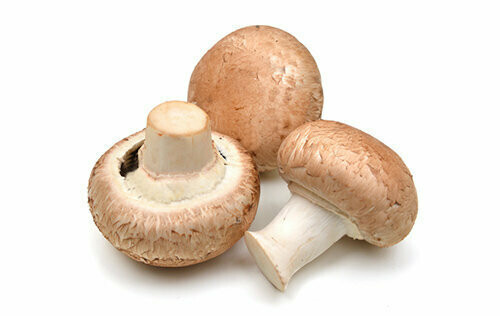 KASTANJE CHAMPIGNONS  bakje