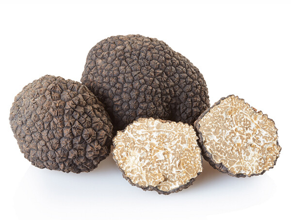 VERSE TRUFFEL  per stuk onder voorbehoud