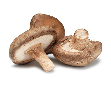 SHIITAKE