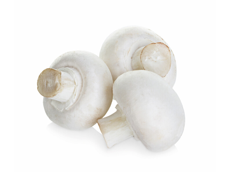 WITTE CHAMPIGNONS bakje