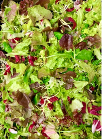 FRANSE SALADE