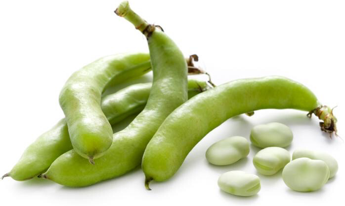 Tuinbonen