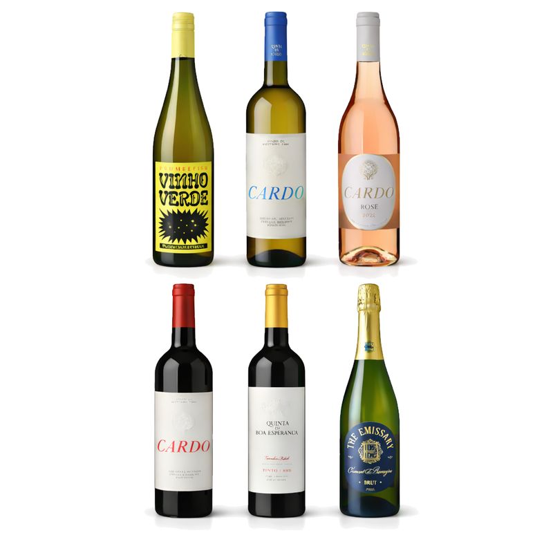 WineVistas Discovery Case (6 Bottles)