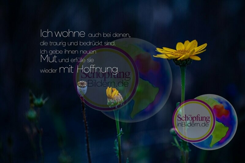 Ich wohne auch bei denen, die traurig und bedrückt sind. Ich gebe Ihnen wieder neuen Mut und erfülle sie wieder mit Hoffnung - hochauflösendes Blumenknospen-Bild mit Spruch zum Download Ich wohne auch bei denen, die traurig und bedrückt sind. Ich gebe Ihnen wieder neuen Mut und erfülle sie wieder mit Hoffnung - hochauflösendes Blumenknospen-Bild mit Spruch zum Download