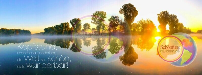 Kopfstand manchmal sonderbar, die Welt so schön stets wunderbar - hochauflösendes Baum an Wasser-Bild mit Spruch zum Download Kopfstand manchmal sonderbar, die Welt so schön stets wunderbar - hochauflösendes Baum an Wasser-Bild mit Spruch zum Download