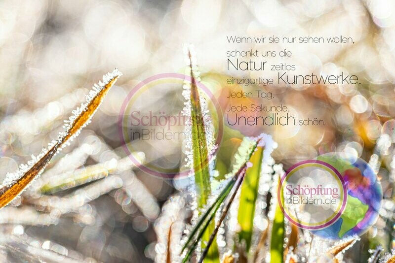 Wenn wir sie nur sehen wollen, schenkt uns die Natur zeitlos einzigartige Kunstwerke. Jeden Tag. Jede Sekunde. Unendlich schön - hochauflösendes Grashalm-Bild mit Spruch zum Download Wenn wir sie nur sehen wollen, schenkt uns die Natur zeitlos einzigartige Kunstwerke. Jeden Tag. Jede Sekunde. Unendlich schön - hochauflösendes Grashalm-Bild mit Spruch zum Download