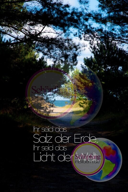 Ihr seid das Salz der Erde, ihr seid das Licht der Welt - hochauflösendes Hoffnungs-Bild mit Spruch zum Download Ihr seid das Salz der Erde, ihr seid das Licht der Welt - hochauflösendes Hoffnungs-Bild mit Spruch zum Download