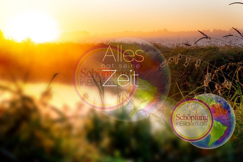 Alles hat seine Zeit - hochauflösendes Hoffnungs-Bild mit Spruch zum Download Alles hat seine Zeit - hochauflösendes Hoffnungs-Bild mit Spruch zum Download