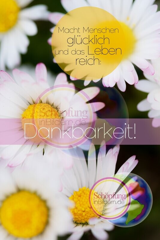 Dankbarkeit macht Menschen glücklich und das Leben reich - hochauflösendes Hoffnungs-Bild mit Spruch zum Download Dankbarkeit macht Menschen glücklich und das Leben reich - hochauflösendes Hoffnungs-Bild mit Spruch zum Download