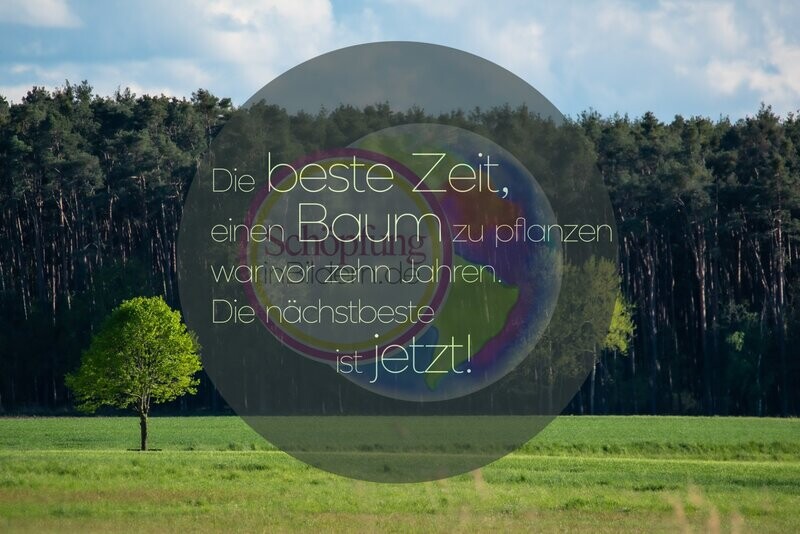 Die beste Zeit, einen Baum zu pflanzen war vor zehn Jahren. Die nächstbeste ist jetzt! - hochauflösendes Nachhaltigkeits-Bild mit Spruch zum Download Die beste Zeit, einen Baum zu pflanzen war vor zehn Jahren. Die nächstbeste ist jetzt! - hochauflösendes Nachhaltigkeits-Bild mit Spruch zum Download
