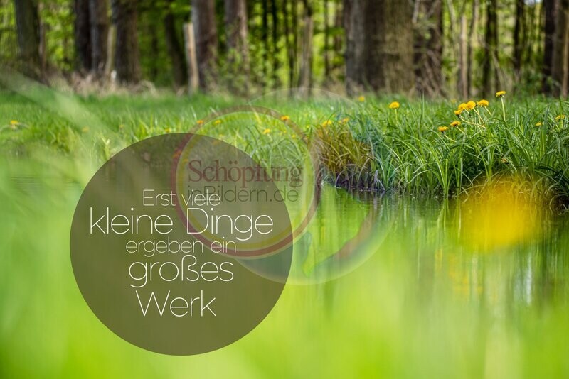 Erst viele kleine Dinge ergeben ein großes Werk - hochauflösendes Löwenzahn-Bild mit Spruch zum Download Erst viele kleine Dinge ergeben ein großes Werk - hochauflösendes Löwenzahn-Bild mit Spruch zum Download