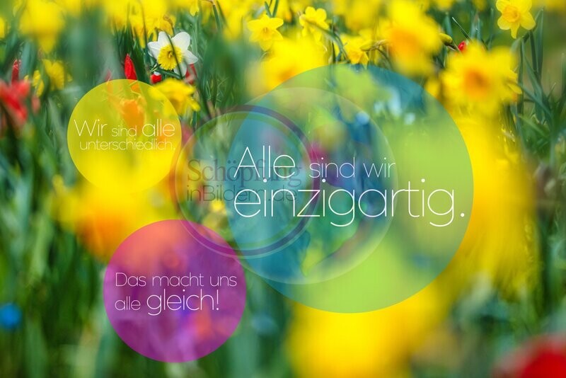 Wir sind alle unterschiedlich. Alle sind wir einzigartig. Das macht uns alle gleich! Hochauflösendes Frühlingswiesen-Bild mit Spruch zum Download Wir sind alle unterschiedlich. Alle sind wir einzigartig. Das macht uns alle gleich! Hochauflösendes Frühlingswiesen-Bild mit Spruch zum Download