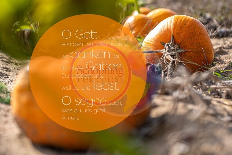 O Gott von dem wir alles haben, wir preisen dich für diese Gaben, du speisest uns weil du uns liebst, o segne auch was du uns gibst. Amen. Kürbis-Erntedank-Bild mit Gebet zum Download O Gott von dem wir alles haben, wir preisen dich für diese Gaben, du speisest uns weil du uns liebst, o segne auch was du uns gibst. Amen. Kürbis-Erntedank-Bild mit Gebet zum Download