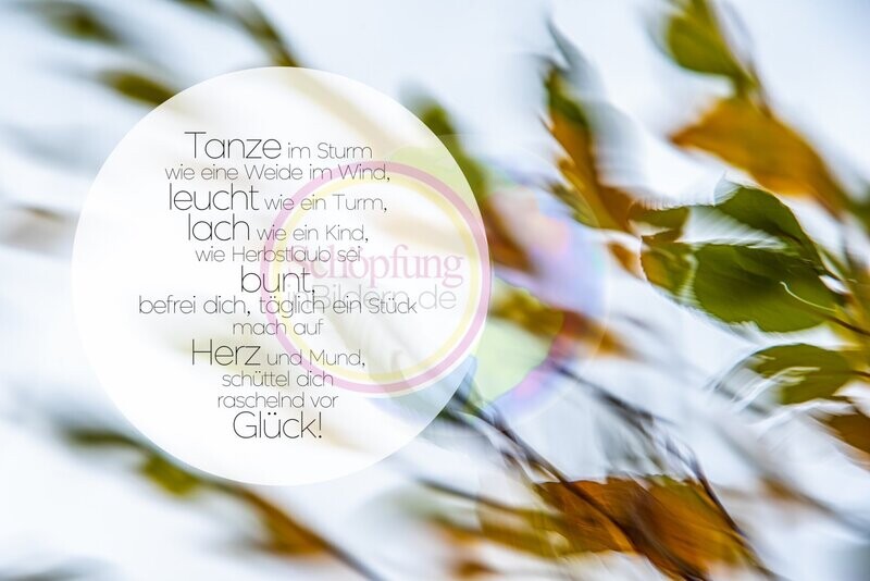 Tanze im Sturm, wie eine Weide im Wind. Leucht wie ein Turm, lach wie ein Kind. Wie Herbstlaub sei bunt, befrei dich täglich ein Stück. Motivierendes Herbst-Bild mit Gedicht zum Download Tanze im Sturm, wie eine Weide im Wind. Leucht wie ein Turm, lach wie ein Kind. Wie Herbstlaub sei bunt, befrei dich täglich ein Stück. Motivierendes Herbst-Bild mit Gedicht zum Download