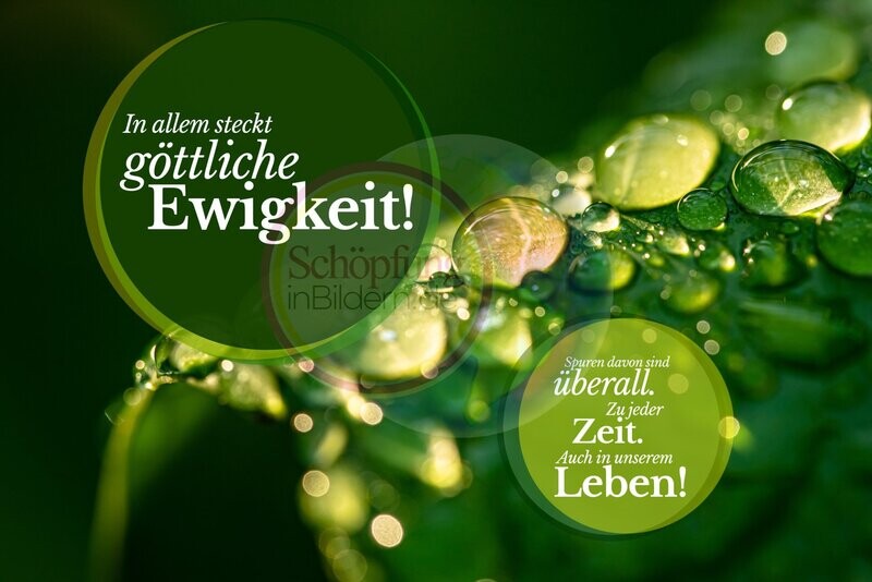 In allem steckt göttliche Ewigkeit - hochauflösendes Blattgrün-Bild mit Spruch zum Download In allem steckt göttliche Ewigkeit - hochauflösendes Blattgrün-Bild mit Spruch zum Download