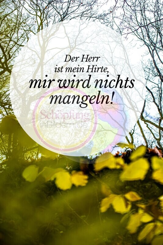 Der Herr ist mein Hirte, mir wird nichts mangeln - Bibelspruch mit Bild zum Download