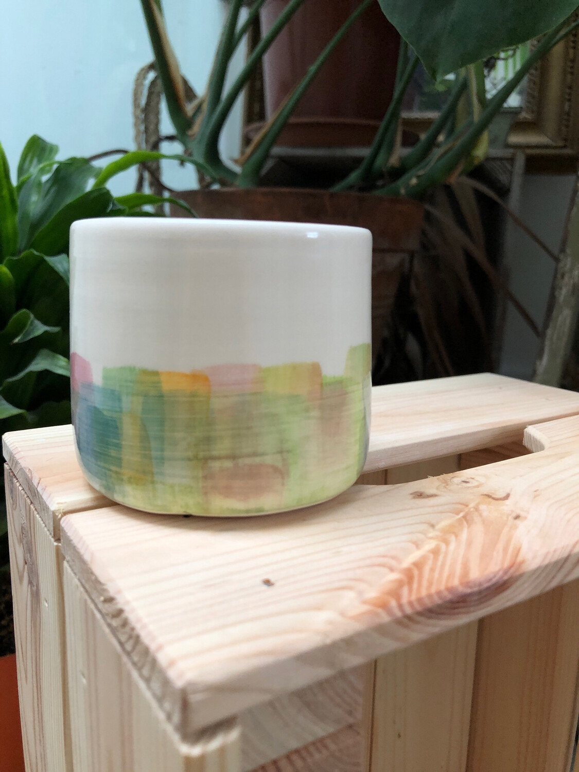 Arcobaleno Cup 
