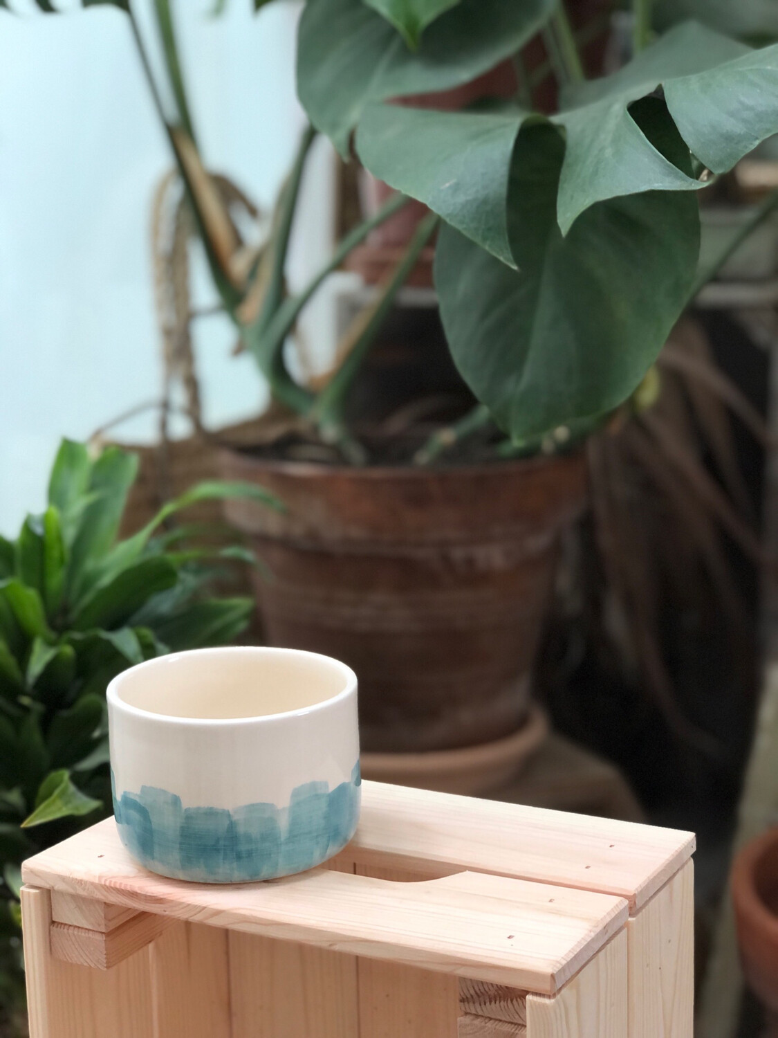 Celeste Bowl