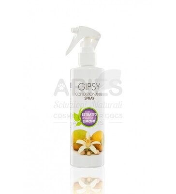 Gipsy Polishing Spray 250ml Gipsy Polishing Spray 250ml