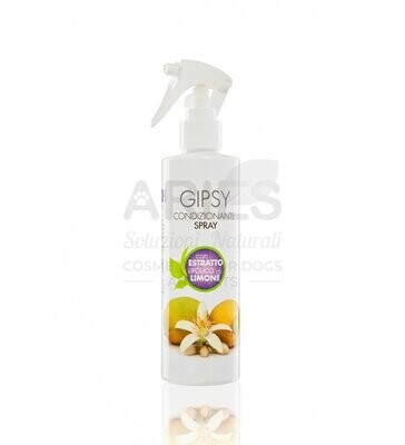 Gipsy Polishing Spray 250ml