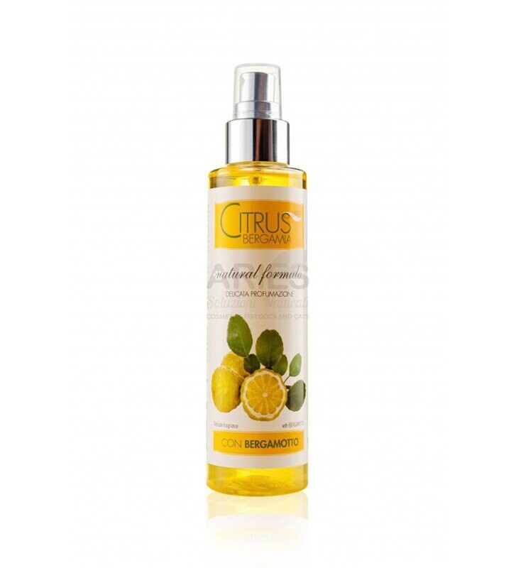 Citrus Bergamia Parfüm 150ml Citrus Bergamia Parfüm 150ml