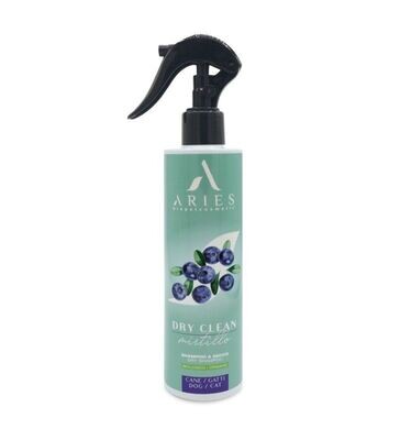 Trockenshampoo Dry Clean Blueberry Trockenshampoo Dry Clean Blueberry
