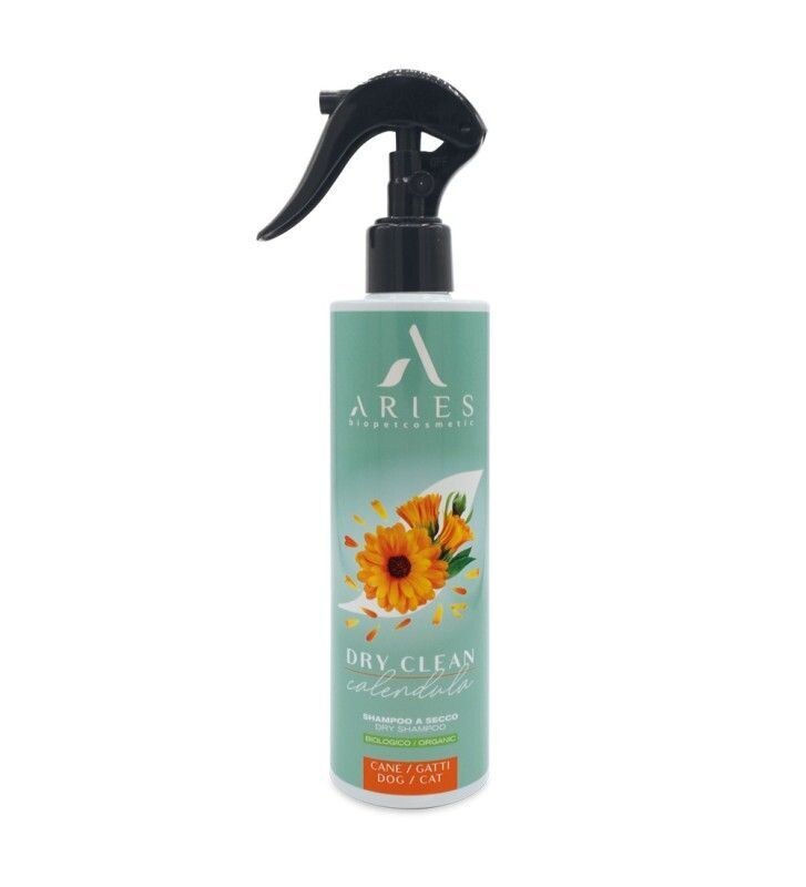 Trockenshampoo Dry Clean Calendula Trockenshampoo Dry Clean Calendula
