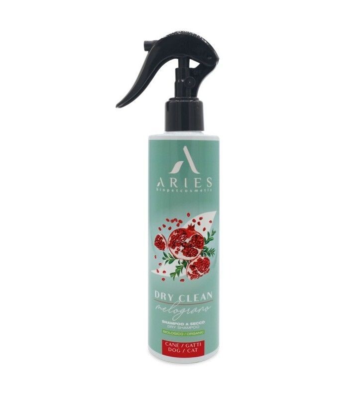 Trockenshampoo Dry Clean Pomegranate Trockenshampoo Dry Clean Pomegranate