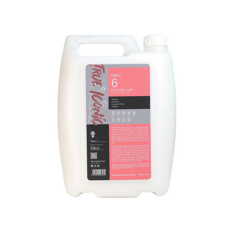 Collagen Plus Care No6 Galone