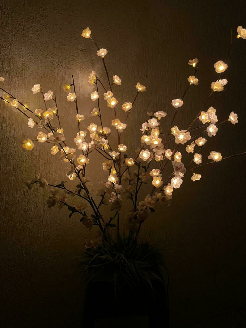 Arreglo Estrellas de Luz