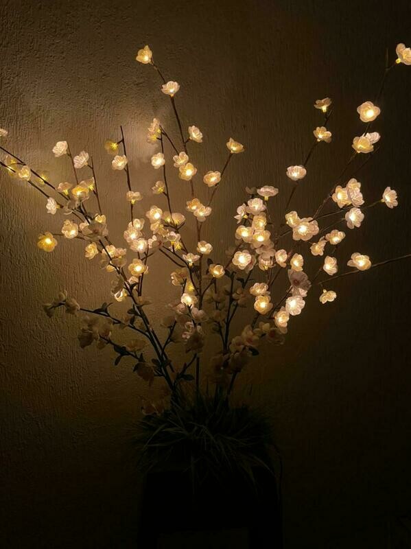 Arreglo Estrellas de Luz